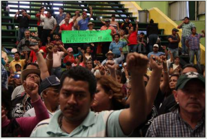 CNTE-BRAVATA-REFORMA EDUCATIVA