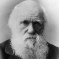 darwin