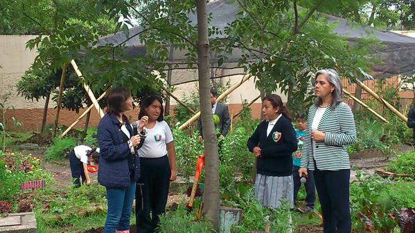 Instalarán huertos en escuelas del DF 