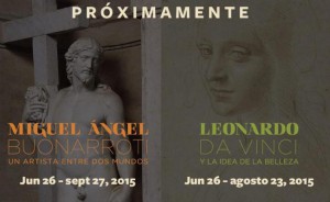 bellas_artes_leonardo_miguel_angel_st