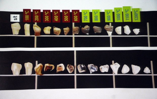 Desarrolla UNAM avanzadas técnicas en Ciencia Forense