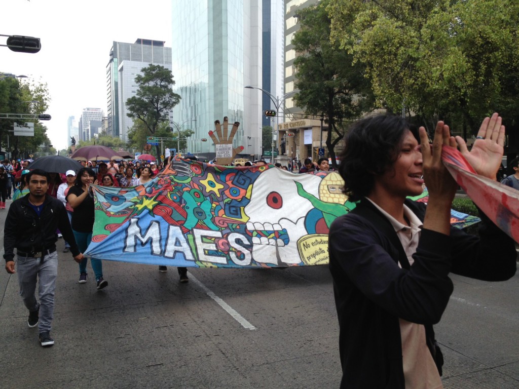 Marcha-MAES-07-de-agosto-2013-5