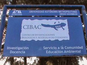 cibac