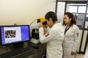 LABORATORIO DE LA ENCB (2)