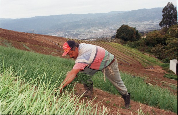 Reconocen a investigador de UAM con Premio Estudios Agrarios 2015