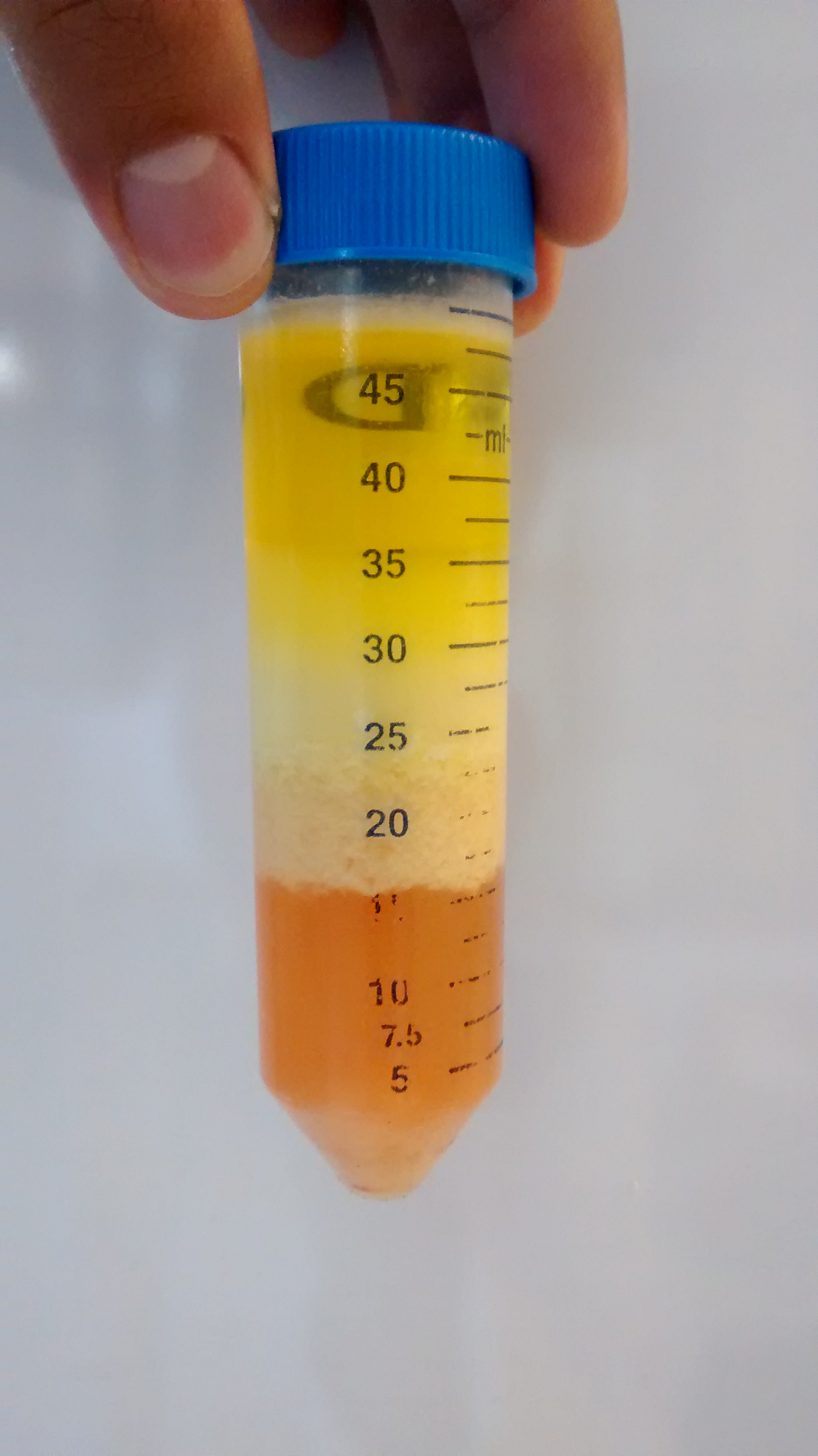 PROTEÍNAS BIOCOMPATIBLES (2)