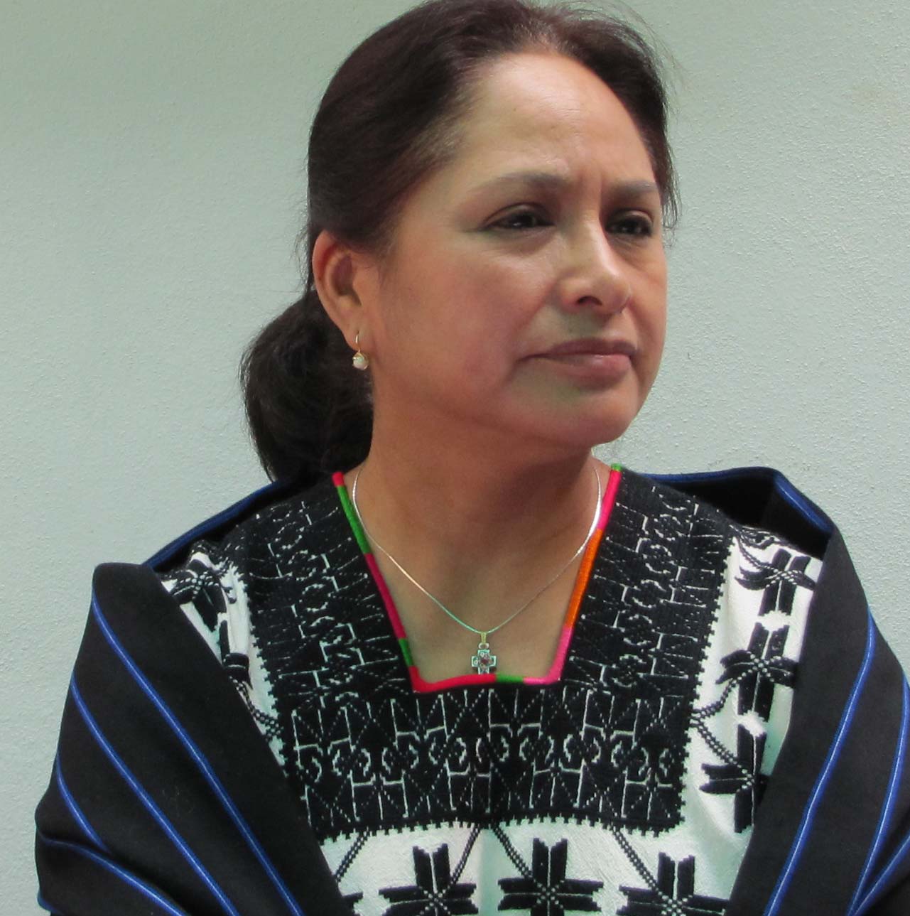 Educación Superior Indígena en Michoacán: Elementos de diagnóstico, quehaceres para su renovación