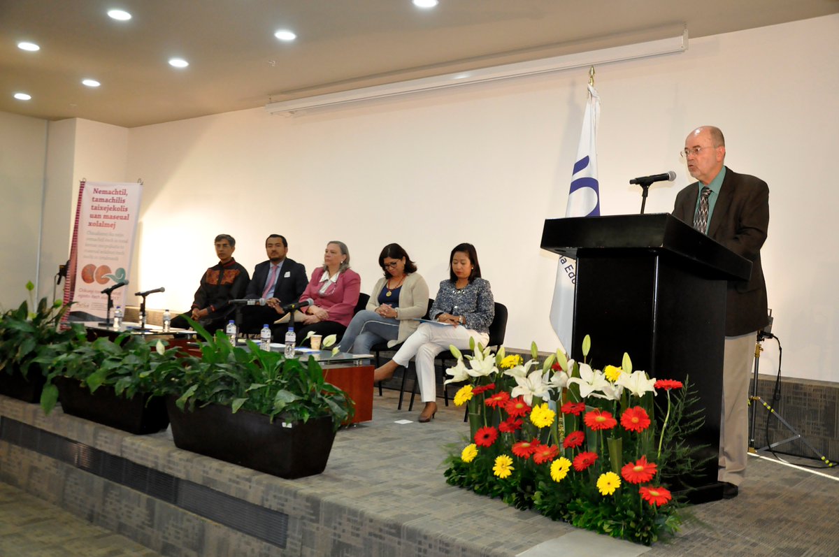 INEE impulsa que la evaluación promueva la equidad y la diversidad cultural: Sylvia Schmelkes