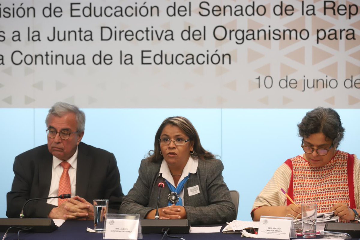 Publican lista de “idóneos” para nuevo Organismo Educativo; incluyen a candidata acusada de plagio