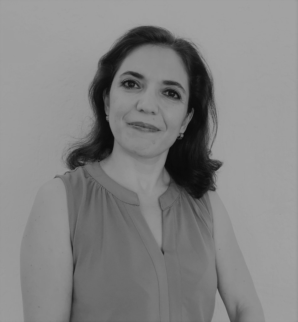 32 cometas que pinten los cielos de México:  sinergias entre organizaciones sociales y gobiernos subnacionales 